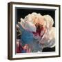 Morning Glow I-James Wiens-Framed Art Print