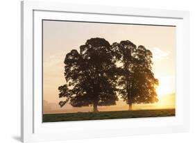 Morning Glow-Peter Adams-Framed Giclee Print