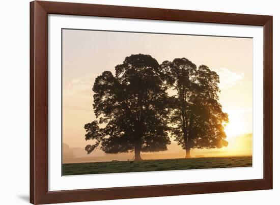 Morning Glow-Peter Adams-Framed Giclee Print