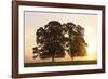 Morning Glow-Peter Adams-Framed Giclee Print