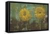 Morning Gold I-Carol Black-Framed Stretched Canvas