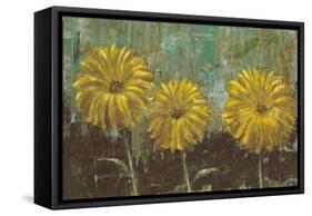 Morning Gold II-Carol Black-Framed Stretched Canvas