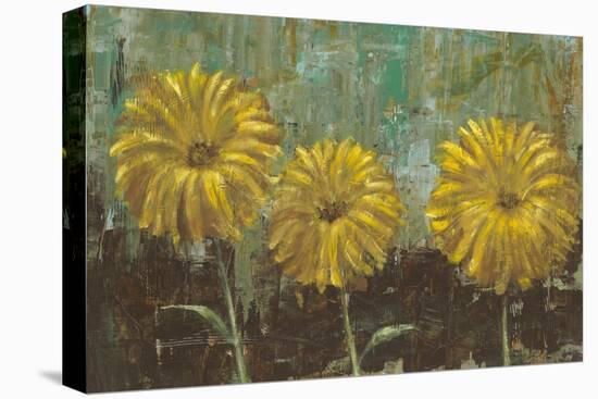 Morning Gold II-Carol Black-Stretched Canvas