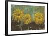 Morning Gold II-Carol Black-Framed Art Print