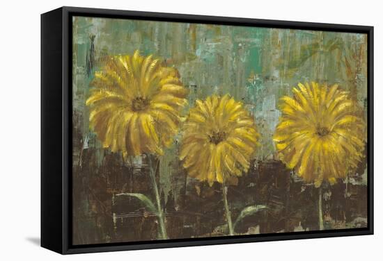 Morning Gold II-Carol Black-Framed Stretched Canvas