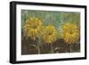 Morning Gold II-Carol Black-Framed Art Print