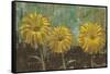 Morning Gold II-Carol Black-Framed Stretched Canvas