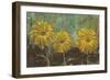 Morning Gold II-Carol Black-Framed Premium Giclee Print