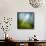 Morning Grass-Ursula Abresch-Framed Stretched Canvas displayed on a wall