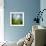 Morning Grass-Ursula Abresch-Framed Photographic Print displayed on a wall