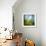 Morning Grass-Ursula Abresch-Framed Photographic Print displayed on a wall