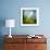 Morning Grass-Ursula Abresch-Framed Photographic Print displayed on a wall