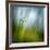 Morning Grass-Ursula Abresch-Framed Photographic Print