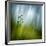 Morning Grass-Ursula Abresch-Framed Photographic Print