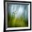 Morning Grass-Ursula Abresch-Framed Photographic Print