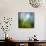 Morning Grass-Ursula Abresch-Mounted Photographic Print displayed on a wall