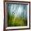 Morning Grass-Ursula Abresch-Framed Photographic Print