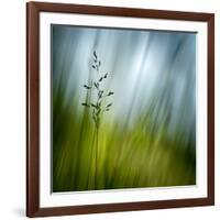 Morning Grass-Ursula Abresch-Framed Photographic Print