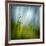 Morning Grass-Ursula Abresch-Framed Photographic Print