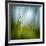 Morning Grass-Ursula Abresch-Framed Photographic Print