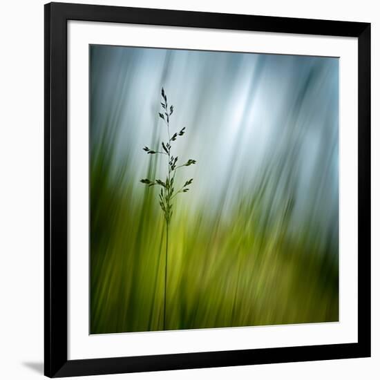 Morning Grass-Ursula Abresch-Framed Photographic Print