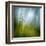 Morning Grass-Ursula Abresch-Framed Premium Photographic Print