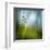 Morning Grass-Ursula Abresch-Framed Premium Photographic Print