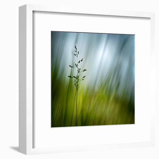 Morning Grass-Ursula Abresch-Framed Premium Photographic Print