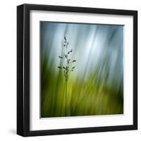 Morning Grass-Ursula Abresch-Framed Premium Photographic Print