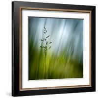 Morning Grass-Ursula Abresch-Framed Premium Photographic Print