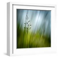 Morning Grass-Ursula Abresch-Framed Premium Photographic Print