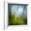 Morning Grass-Ursula Abresch-Framed Premium Photographic Print