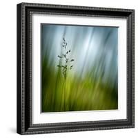 Morning Grass-Ursula Abresch-Framed Premium Photographic Print