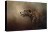 Morning Grizzly-Jai Johnson-Stretched Canvas