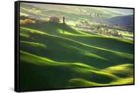 Morning Harmony-Marcin Sobas-Framed Stretched Canvas