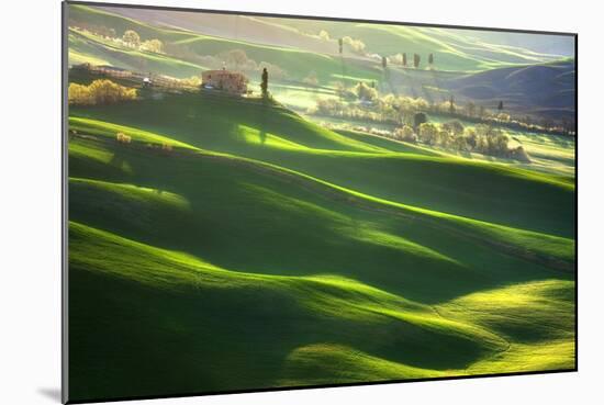 Morning Harmony-Marcin Sobas-Mounted Photographic Print