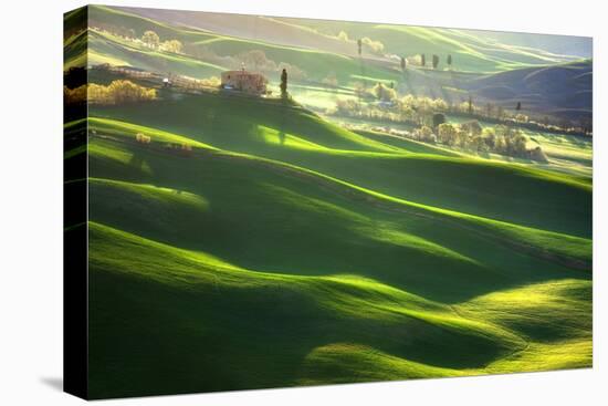 Morning Harmony-Marcin Sobas-Stretched Canvas