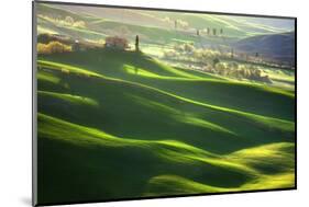 Morning Harmony-Marcin Sobas-Mounted Photographic Print