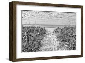 Morning Has Broken (b/w)-Mary Lou Johnson-Framed Giclee Print