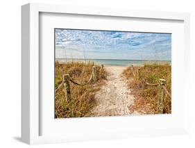 Morning Has Broken-Mary Lou Johnson-Framed Photo