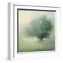 Morning Haze-Julia Purinton-Framed Art Print