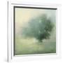 Morning Haze-Julia Purinton-Framed Premium Giclee Print