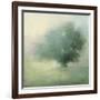 Morning Haze-Julia Purinton-Framed Premium Giclee Print