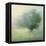 Morning Haze-Julia Purinton-Framed Stretched Canvas