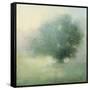 Morning Haze-Julia Purinton-Framed Stretched Canvas