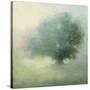 Morning Haze-Julia Purinton-Stretched Canvas