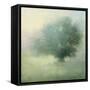 Morning Haze-Julia Purinton-Framed Stretched Canvas