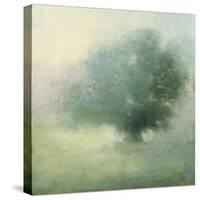 Morning Haze-Julia Purinton-Stretched Canvas