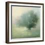 Morning Haze-Julia Purinton-Framed Art Print