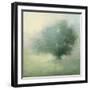 Morning Haze-Julia Purinton-Framed Art Print